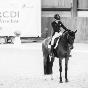 CDI Wroclaw 2023 - autumn