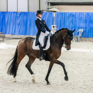 CDI Wroclaw 2023 - autumn