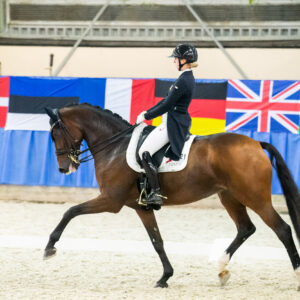 CDI Wroclaw 2023 - autumn