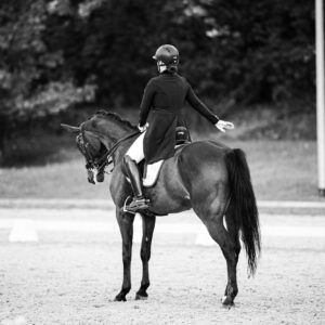 CDI Troisdorf 2023 - autumn