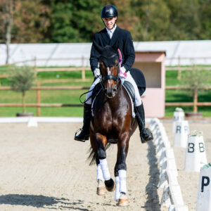 CDI Troisdorf 2023 - autumn