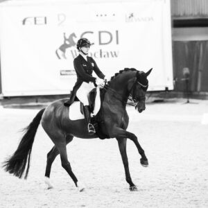 CDI Wroclaw 2023 - autumn