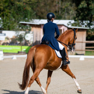 CDI Troisdorf 2023 - autumn