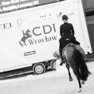 CDI Wroclaw 2023 - autumn