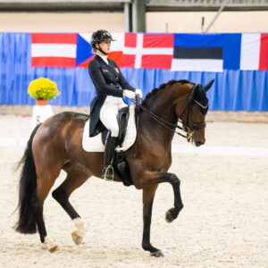 CDI Wroclaw 2023 - autumn