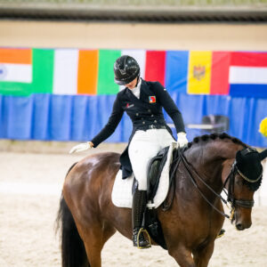 CDI Wroclaw 2023 - autumn