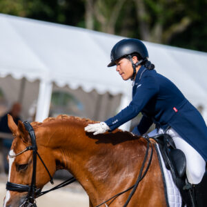 CDI Troisdorf 2023 - autumn