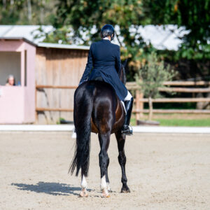 CDI Troisdorf 2023 - autumn