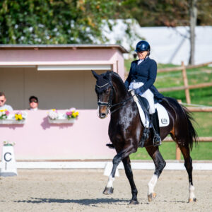 CDI Troisdorf 2023 - autumn