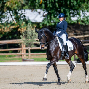 CDI Troisdorf 2023 - autumn