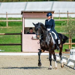 CDI Troisdorf 2023 - autumn
