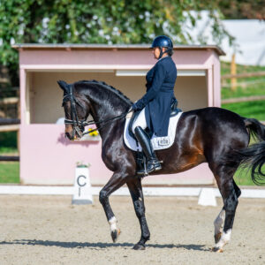 CDI Troisdorf 2023 - autumn