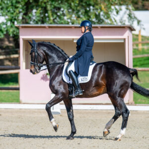 CDI Troisdorf 2023 - autumn