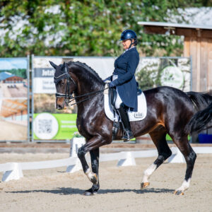 CDI Troisdorf 2023 - autumn