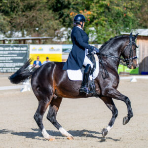 CDI Troisdorf 2023 - autumn