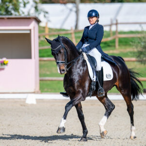 CDI Troisdorf 2023 - autumn