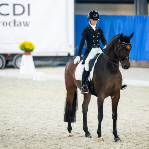 CDI Wroclaw 2023 - autumn