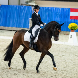 CDI Wroclaw 2023 - autumn