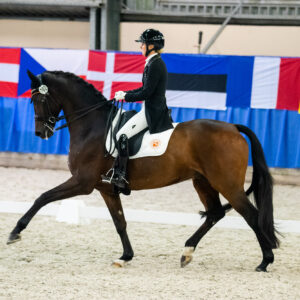 CDI Wroclaw 2023 - autumn