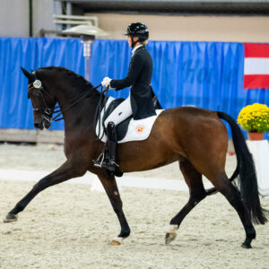 CDI Wroclaw 2023 - autumn