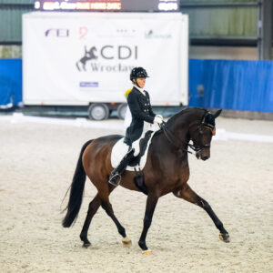 CDI Wroclaw 2023 - autumn
