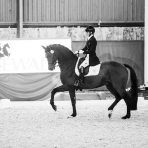 CDI Wroclaw 2023 - autumn