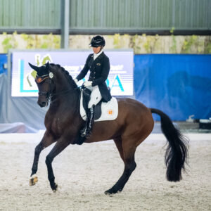 CDI Wroclaw 2023 - autumn