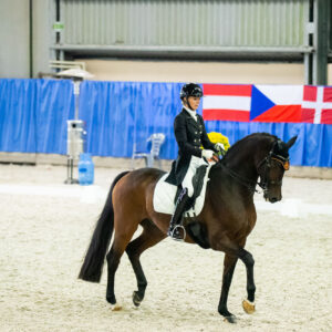 CDI Wroclaw 2023 - autumn