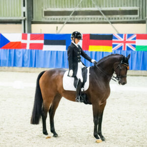 CDI Wroclaw 2023 - autumn