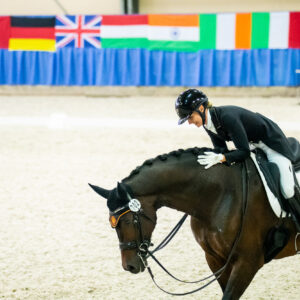 CDI Wroclaw 2023 - autumn