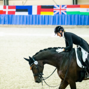 CDI Wroclaw 2023 - autumn