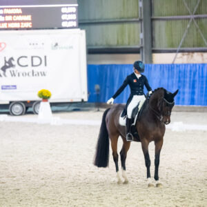 CDI Wroclaw 2023 - autumn