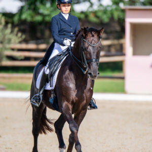 CDI Troisdorf 2023 - autumn