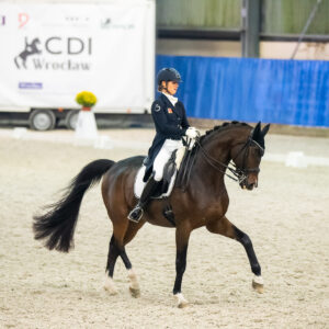 CDI Wroclaw 2023 - autumn