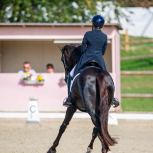 CDI Troisdorf 2023 - autumn