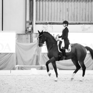CDI Wroclaw 2023 - autumn