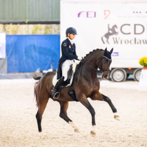 CDI Wroclaw 2023 - autumn