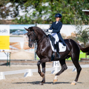 CDI Troisdorf 2023 - autumn