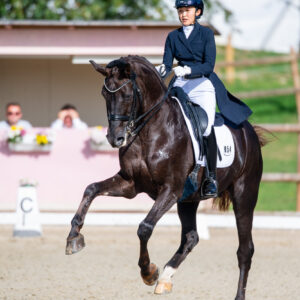 CDI Troisdorf 2023 - autumn