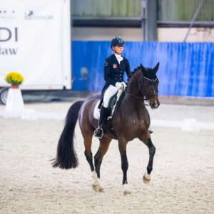 CDI Wroclaw 2023 - autumn