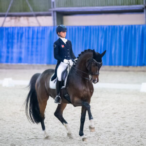 CDI Wroclaw 2023 - autumn