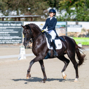 CDI Troisdorf 2023 - autumn