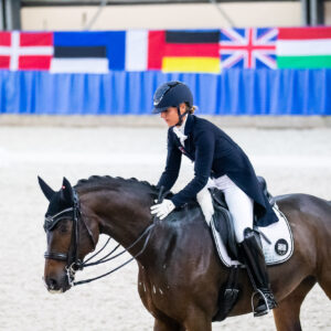 CDI Wroclaw 2023 - autumn