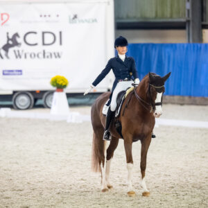 CDI Wroclaw 2023 - autumn