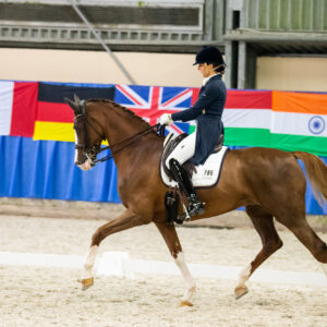 CDI Wroclaw 2023 - autumn