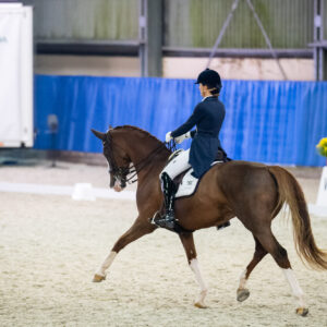 CDI Wroclaw 2023 - autumn