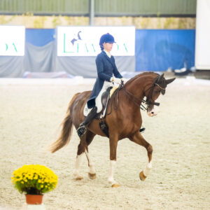 CDI Wroclaw 2023 - autumn
