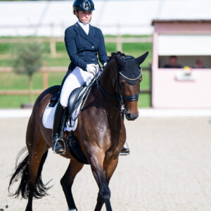 CDI Troisdorf 2023 - autumn