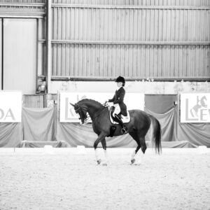 CDI Wroclaw 2023 - autumn
