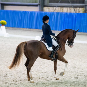 CDI Wroclaw 2023 - autumn